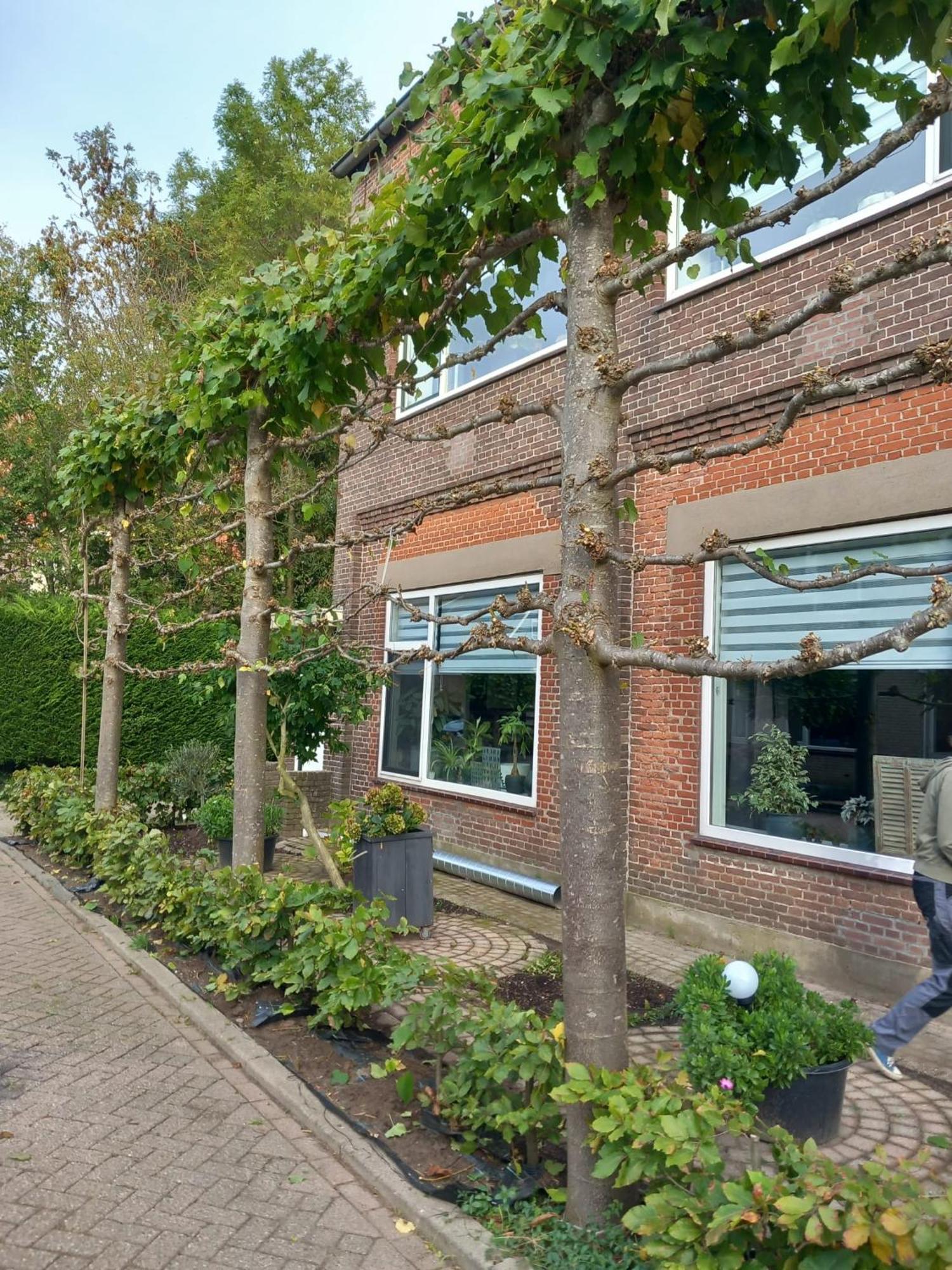 Klooster Achthuizen Bed & Breakfast Exterior photo